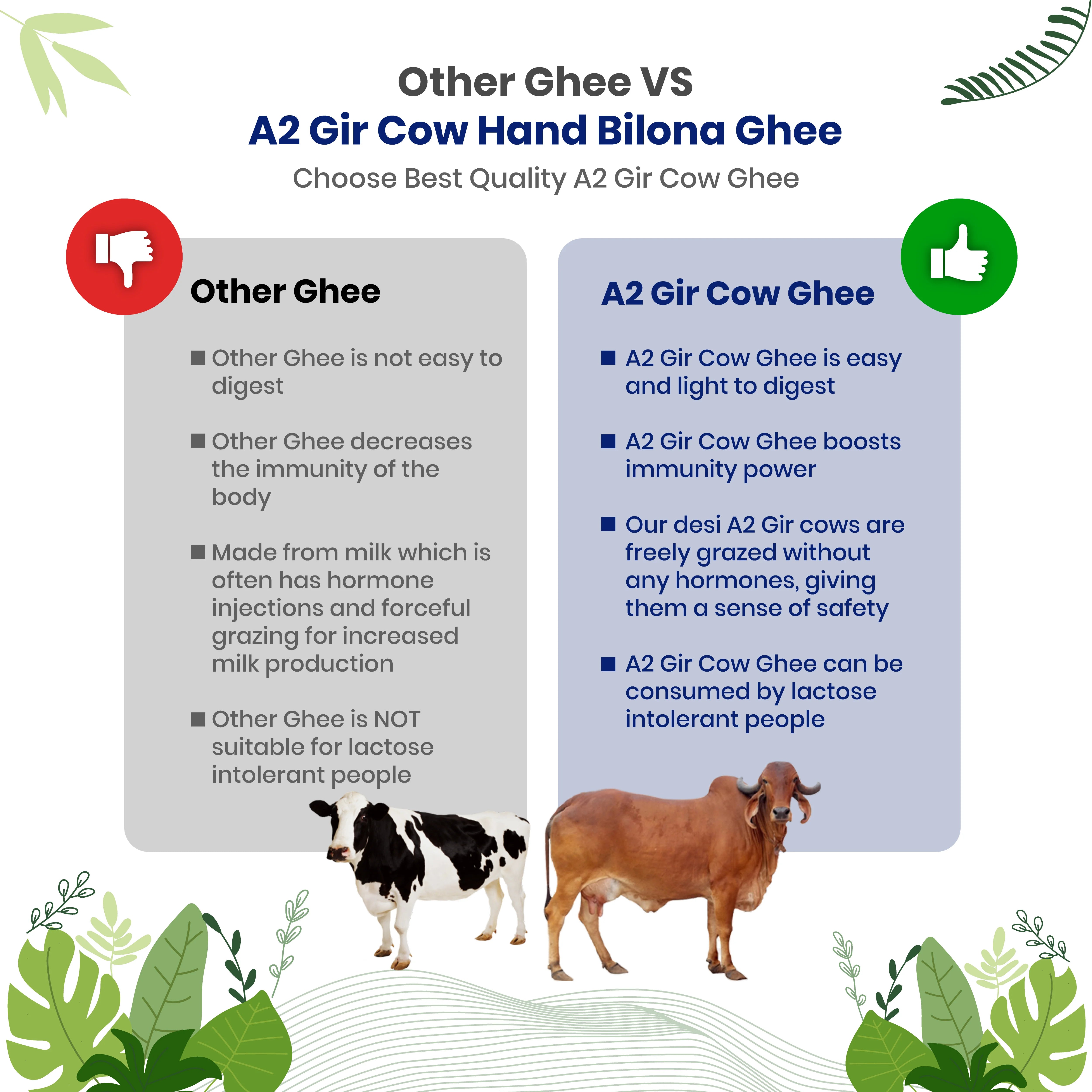 Hand Bilona A2 Gir Cow Pure Ghee