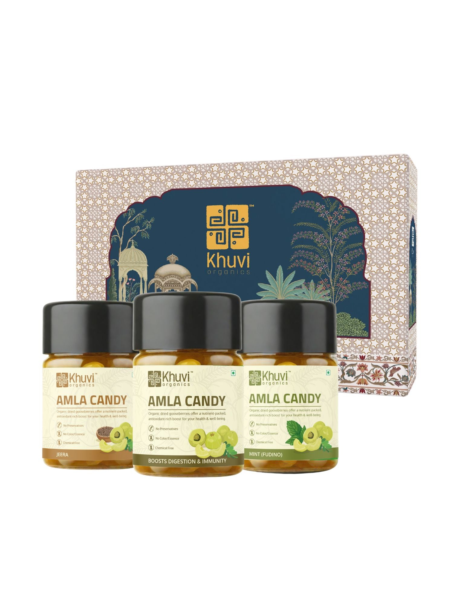 Aamla Flavor Medley Combo Pack