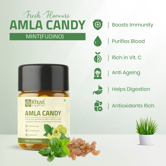 Aamla Sweet Candy - Mint (Fudino)