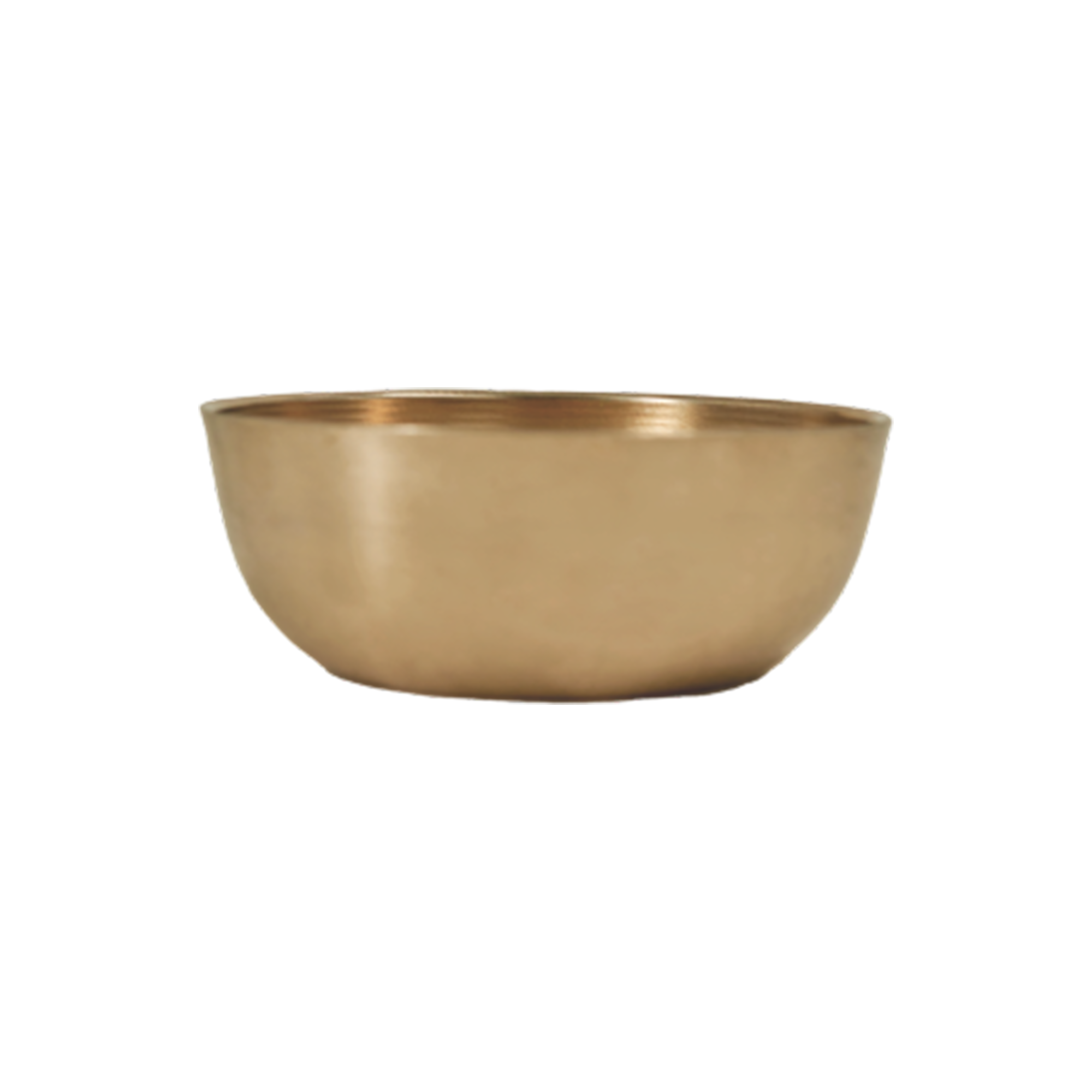 Bronze Bowl