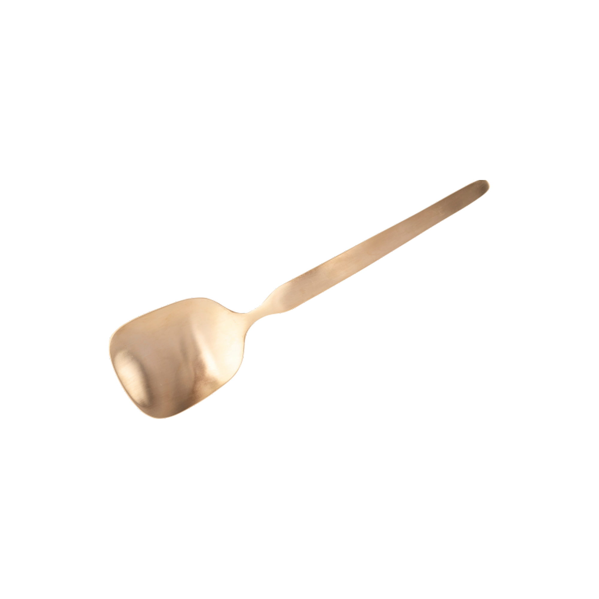 Bronze Serving Spoon - Farsan