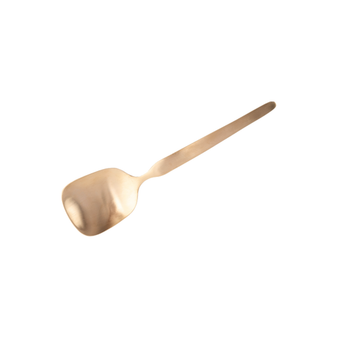 Bronze Serving Spoon - Farsan