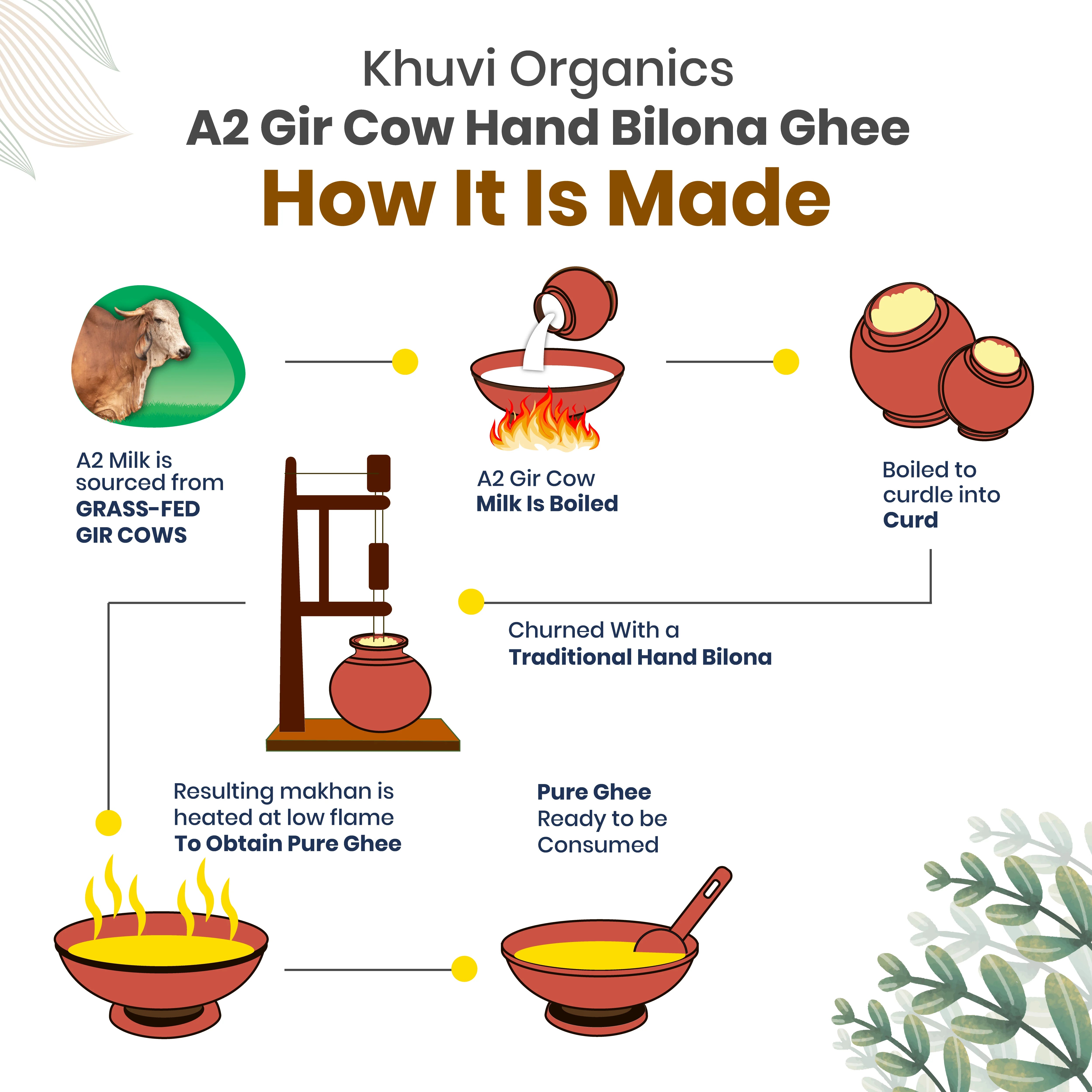Hand Bilona A2 Gir Cow Ghee