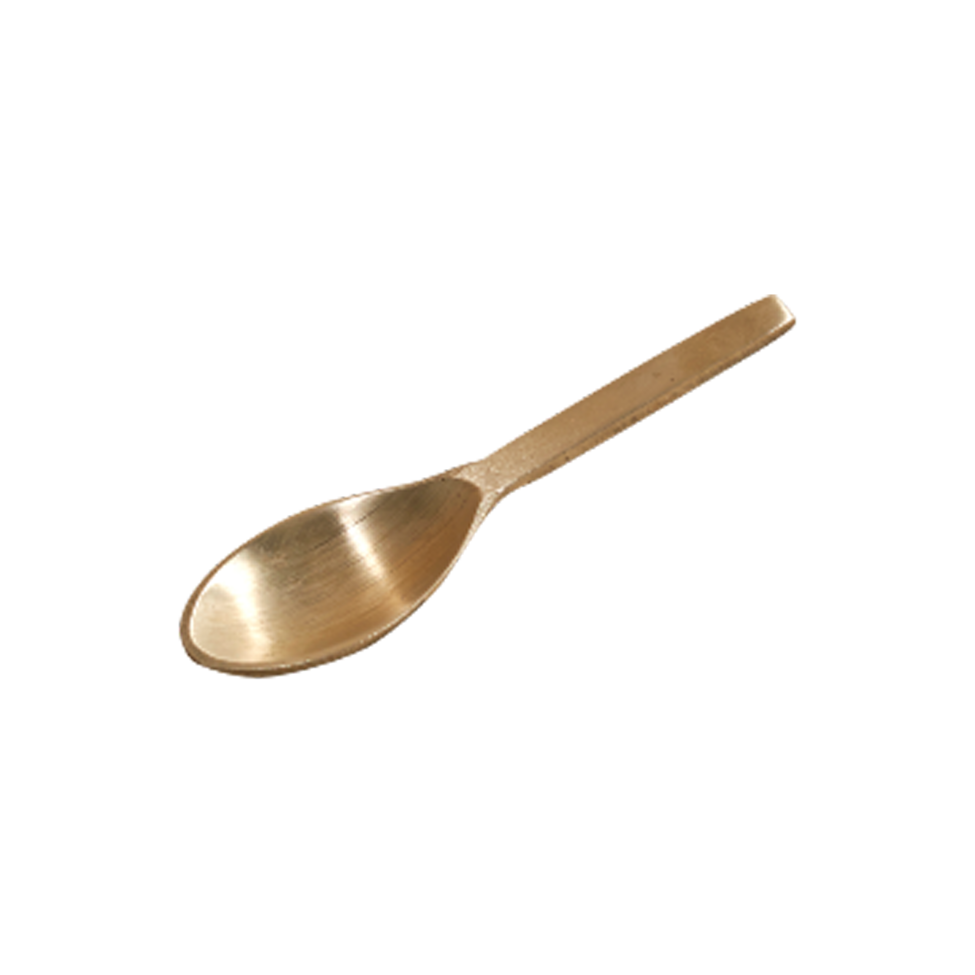 Bronze Masala Spoon