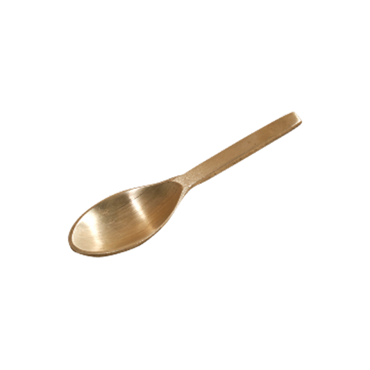 Bronze Masala Spoon